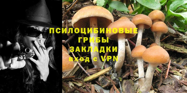 стафф Армянск