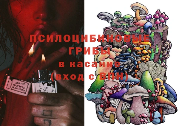 каннабис Аркадак
