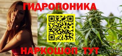 индика Обь