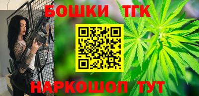индика Обь