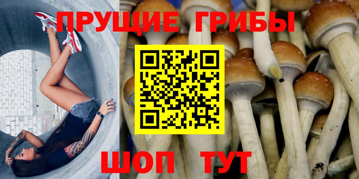 Галлюциногенные грибы мицелий  Вход с VPN  даркнет сайт  Псилоцибиновые грибы Cubensis  Радужный 